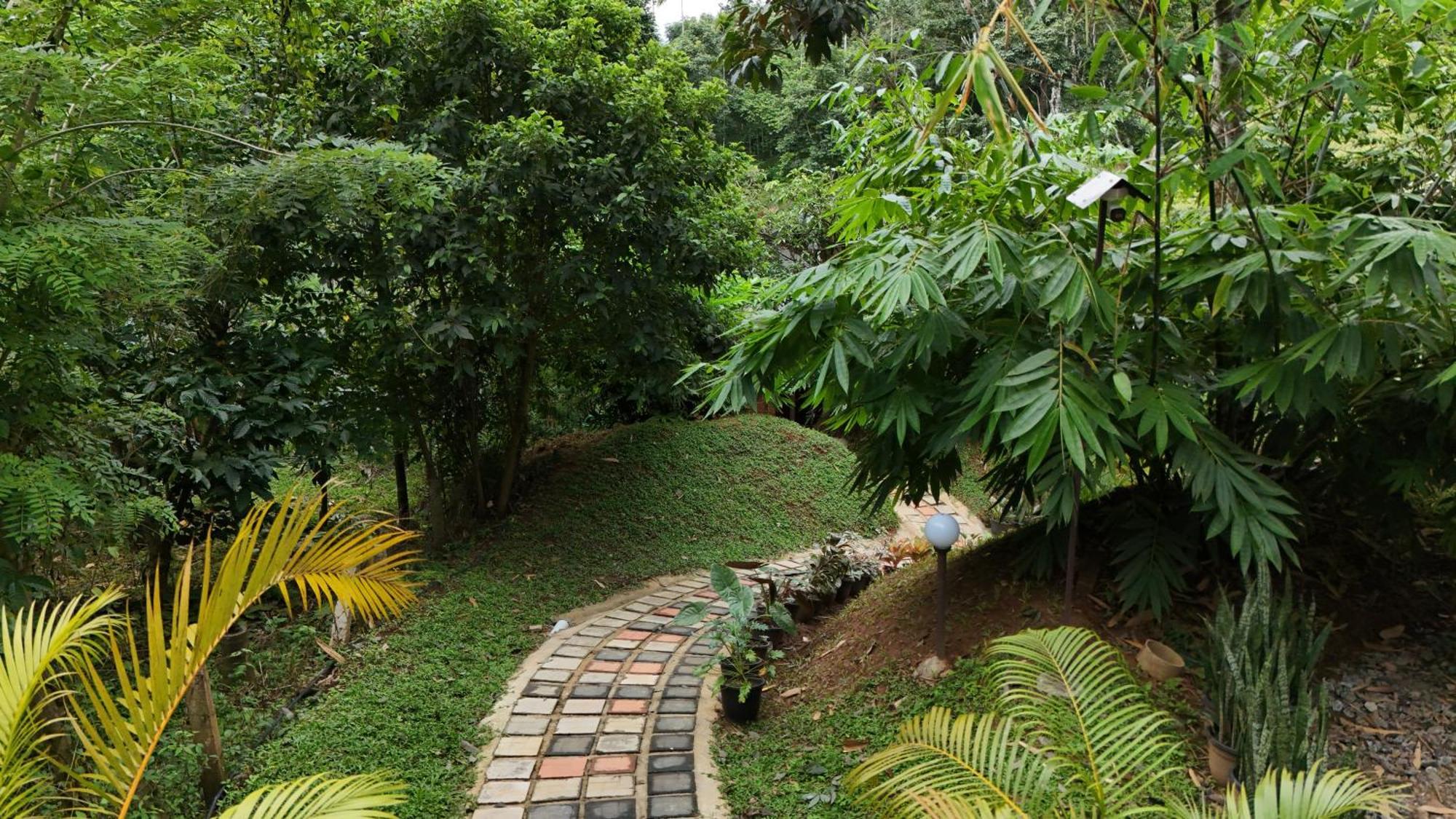 Casta Wild Resort Batheri Extérieur photo