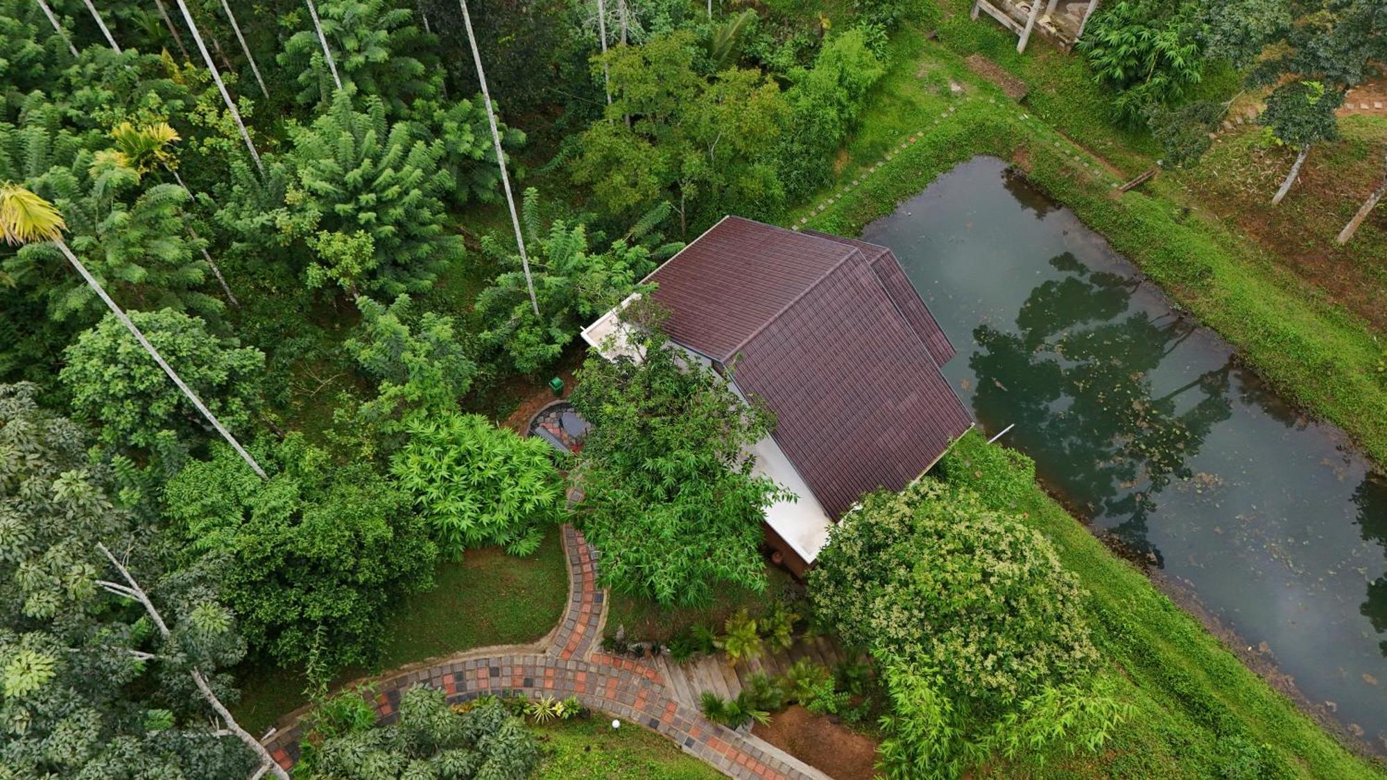 Casta Wild Resort Batheri Extérieur photo