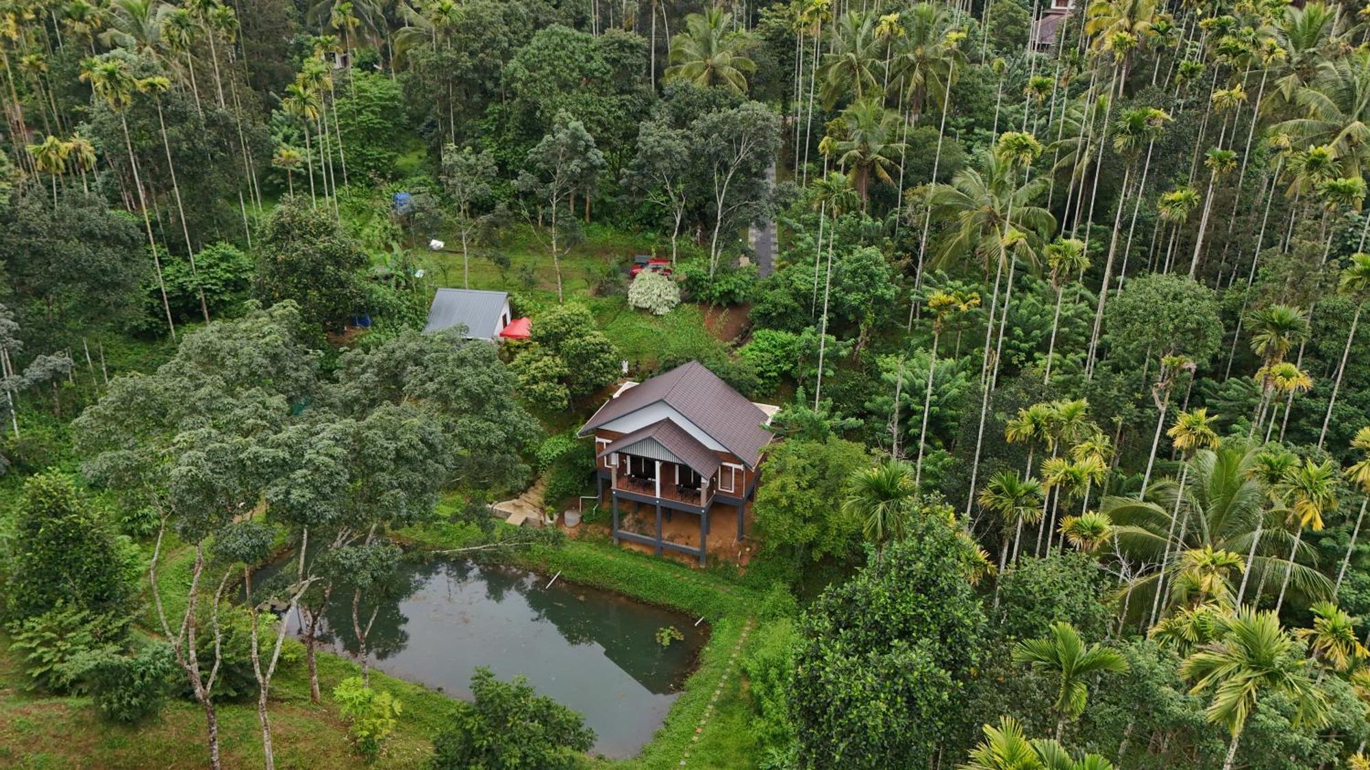 Casta Wild Resort Batheri Extérieur photo